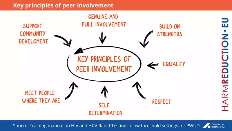 12 - Key principles of peer involvement