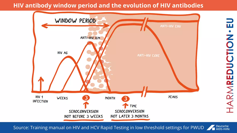 8 - HIV antibody window period and the evolution of HIV antibodies