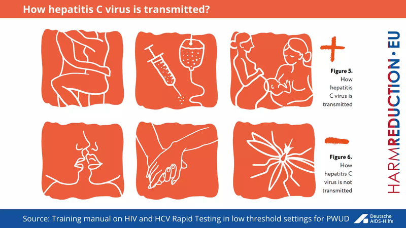 5_6 - How hepatitis C virus is transmitted
